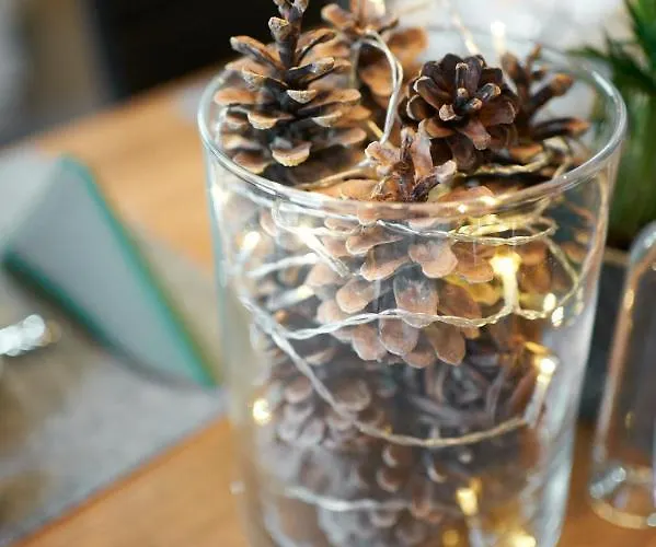 Alpen Flair 아파트 *